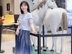 -红星美凯龙北京至尊MALL(东四环中路店)