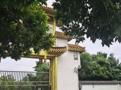 -白佛山景区