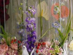 -崂山区第二实验小学