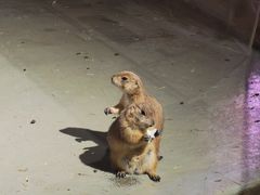 -正佳雨林生态植物园