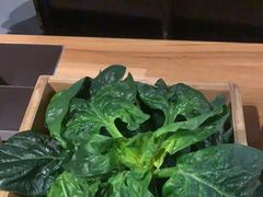 -巴奴毛肚火锅(淮河路店)