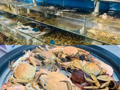 -仙螺岛海鲜自助餐厅(总店)
