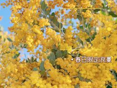 -牛岗山公园