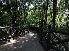 -郑州方特水上乐园