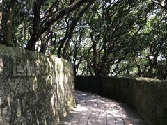 -普陀山慧济禅寺