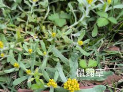 -洋湖国家湿地公园