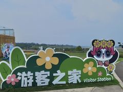 -空港花田景区