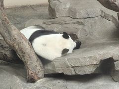 -宁波野生动物园
