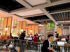 -同庆楼(滨湖万达广场店)