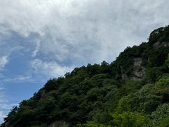 -王顺山国家森林公园