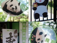 -宁波野生动物园
