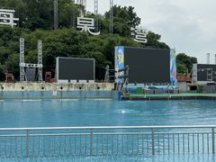 -珠海海泉湾神秘岛亲子乐园