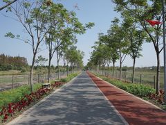 -上海长兴岛郊野公园