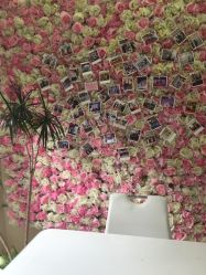 -新蝶变皮肤管理中心