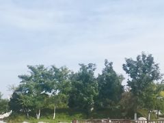 -绿岛公园(滨海新区)