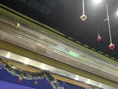 -谜盒子奇幻密室(南屏店)