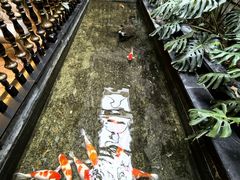 -福禧酒窖·中餐厅 (万柳店)