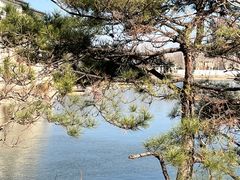 -龙熙维景国际会议中心