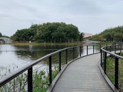 -映月湖公园