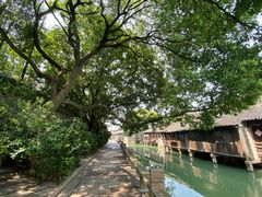 -乌镇东栅景区