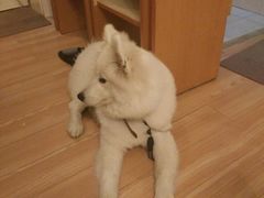 -木子陶艺(春熙路店)