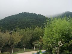 -翠矶山公园