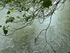 -桤木河湿地公园