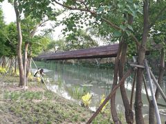 景点-昆山城市生态森林公园