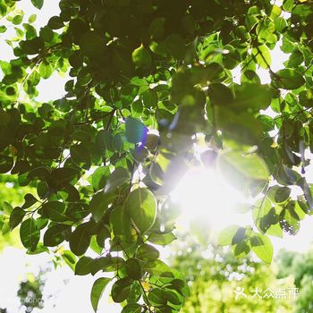 如今才换恍然大悟 是不是太笨了