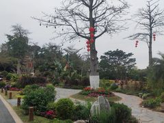-东莞植物园