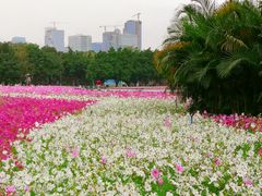 -海心沙亚运公园
