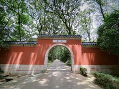 -灵谷景区