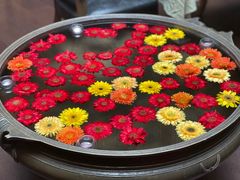 -松赞拉萨林卡酒店