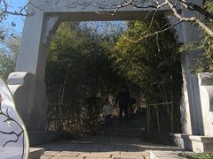 -竹子庵公园