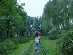 -永定河休闲森林公园