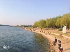 -丁香湖公园