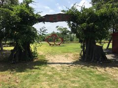 -梁鸿国家湿地公园