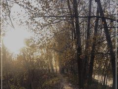 -洨河生态公园
