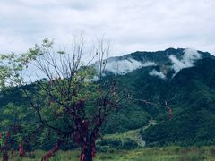 -硗碛藏寨·神木垒景区