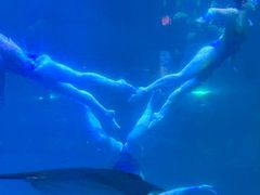 -福州罗源湾海洋世界旅游区