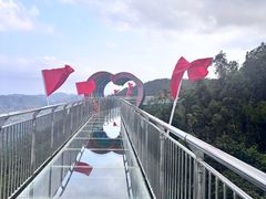 -呀诺达热带雨林