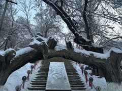 -水磨沟公园