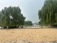 -大兴滨河森林公园