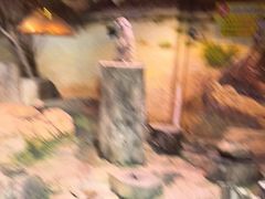 -正佳雨林生态植物园