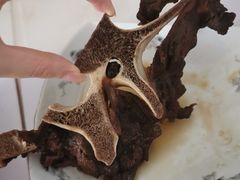 -堤角王师傅牛骨头