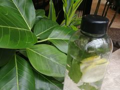 -大树餐厅(红旗街万达店)