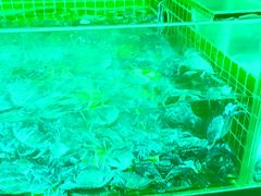 -锅儿欢海鲜火锅烤肉自助餐(东港凯虹店)