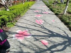 -高东镇樱花园