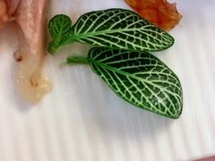 -北京全聚德(西翠路店)