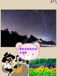 -麦粒鸟亲子游